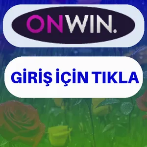 Onwin giriş